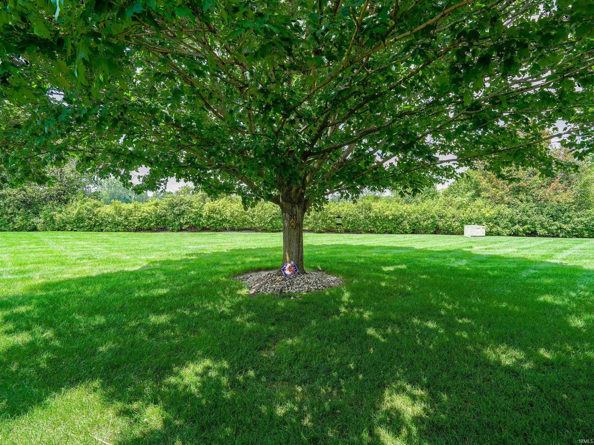 Image of 429 Mirage Drive